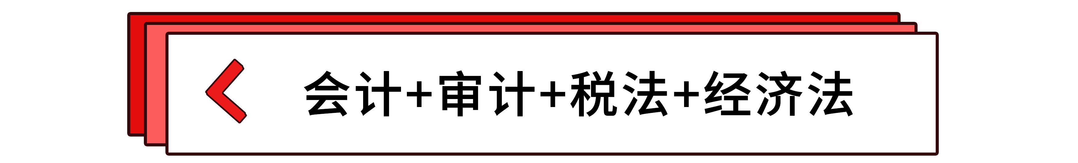 會計+審計+稅法+經(jīng)濟法 會計+審計+稅法+經(jīng)濟法