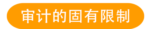 審計的固有限制