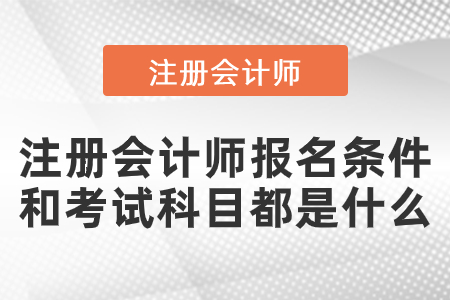 注冊會計師報名條件和考試科目都是什么