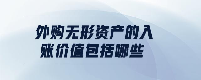 外購(gòu)無(wú)形資產(chǎn)的入賬價(jià)值包括哪些
