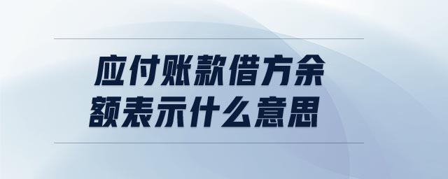 應付賬款借方余額表示什么意思 應付賬款借方余額表示什么意思