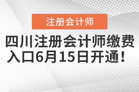 四川省阿壩注冊會計師繳費入口6月15日開通！
