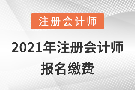 2021年注冊會計師報名繳費