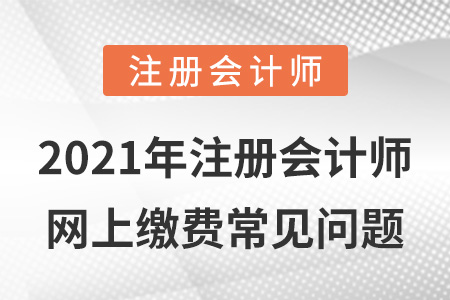 2021年注冊(cè)會(huì)計(jì)師網(wǎng)上繳費(fèi)常見(jiàn)問(wèn)題