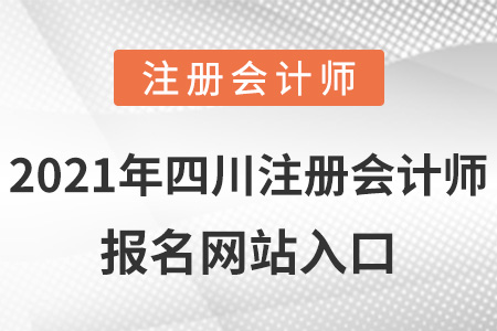 2021年四川省瀘州注冊會計(jì)師報(bào)名網(wǎng)站入口