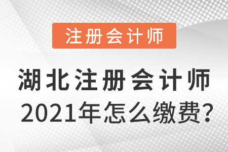 湖北省天門市2021年注冊(cè)會(huì)計(jì)師怎么繳費(fèi)？