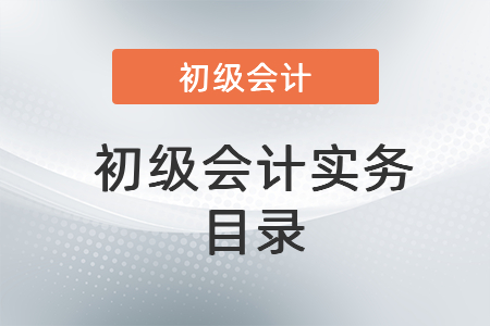 初級會計(jì)實(shí)務(wù)目錄