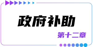 第十二章政府補助
