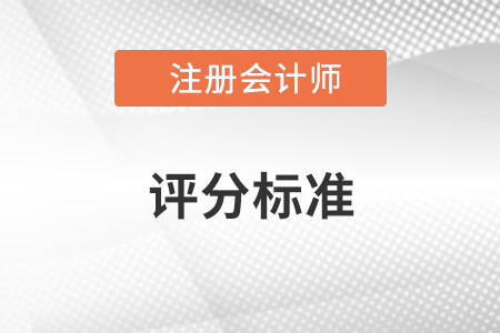 注會試題評分標準是什么？