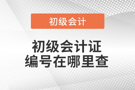初級(jí)會(huì)計(jì)證編號(hào)在哪里查