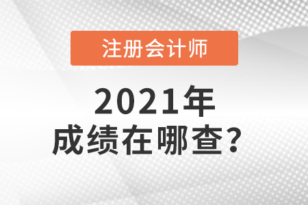 2021年注冊會計(jì)師成績在哪查