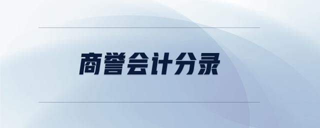 商譽(yù)會(huì)計(jì)分錄 商譽(yù)會(huì)計(jì)分錄