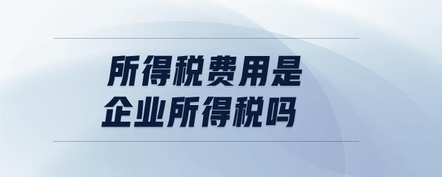 所得稅費(fèi)用是企業(yè)所得稅嗎