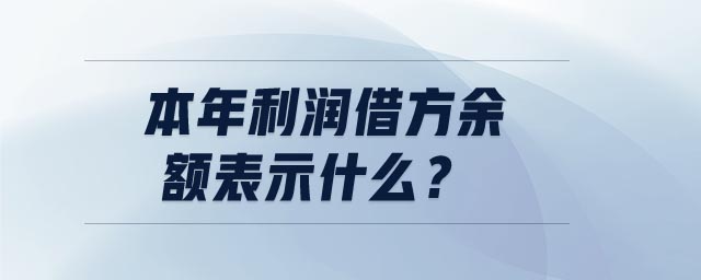 本年利潤借方余額表示什么 本年利潤借方余額表示什么
