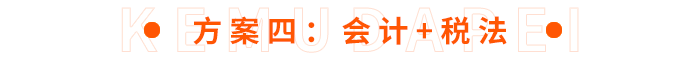 方案四：會計+稅法