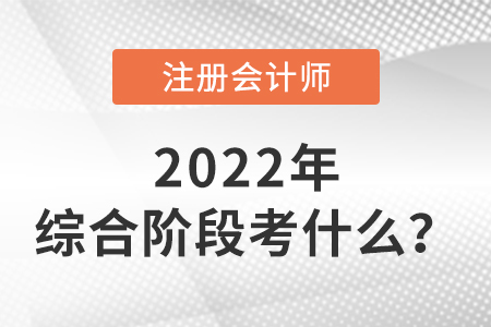2022年注冊會計(jì)師綜合階段考試考什么？