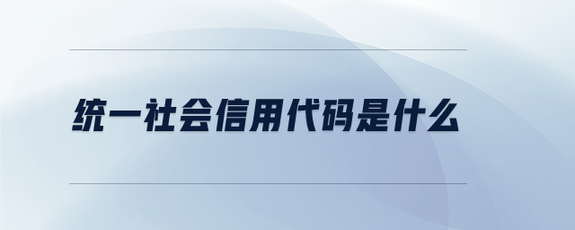 統(tǒng)一社會信用代碼是什么 統(tǒng)一社會信用代碼是什么