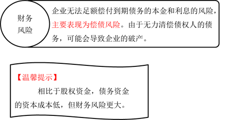 財務(wù)風(fēng)險 財務(wù)風(fēng)險