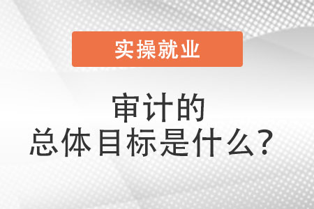 審計總體目標