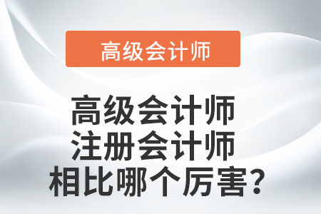 高級會(huì)計(jì)師與注冊會(huì)計(jì)師相比哪個(gè)厲害？