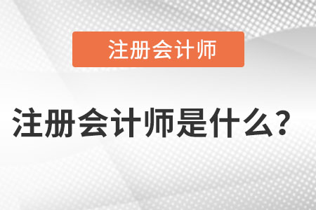 注冊會(huì)計(jì)師是什么？
