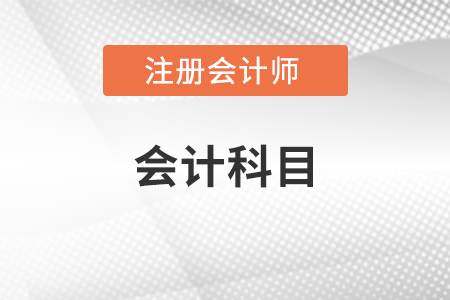 注冊(cè)會(huì)計(jì)師會(huì)計(jì)要考分錄嗎？