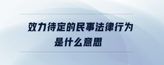 效力待定的民事法律行為是什么意思 效力待定的民事法律行為是什么意思