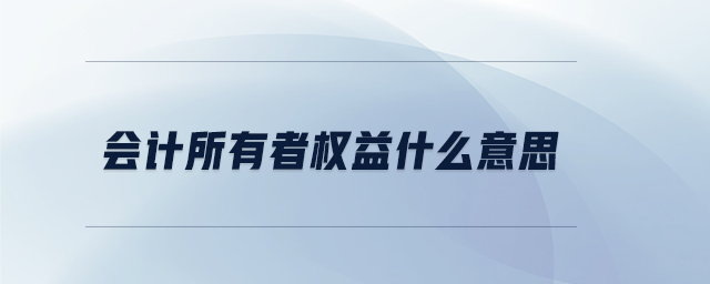 會(huì)計(jì)所有者權(quán)益什么意思