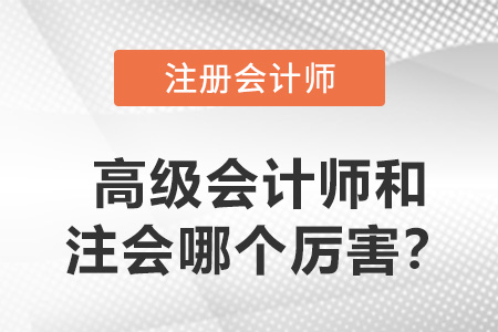 高級會(huì)計(jì)師和注冊會(huì)計(jì)師哪個(gè)厲害？