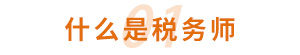 什么是稅務(wù)師
