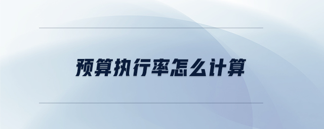 預(yù)算執(zhí)行率怎么計(jì)算