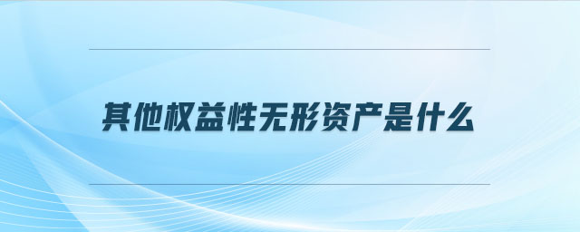 其他權益性無形資產是什么 其他權益性無形資產是什么