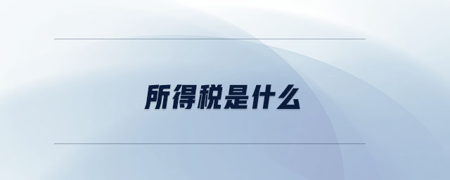 所得稅是什么 所得稅是什么