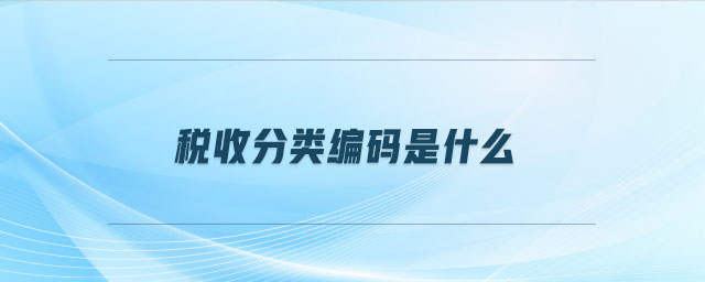 稅收分類編碼是什么 稅收分類編碼是什么
