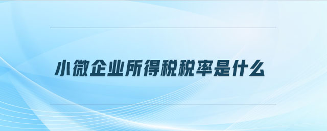小微企業(yè)所得稅稅率是什么 小微企業(yè)所得稅稅率是什么