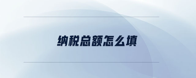 納稅總額怎么填 納稅總額怎么填