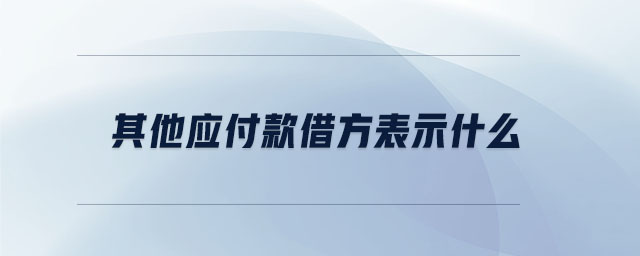 其他應付款借方表示什么 其他應付款借方表示什么
