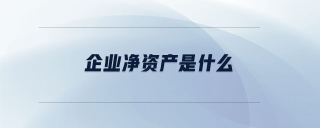 企業(yè)凈資產(chǎn)是什么