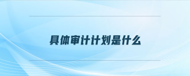 具體審計計劃是什么 具體審計計劃是什么