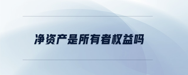 凈資產(chǎn)是所有者權(quán)益嗎