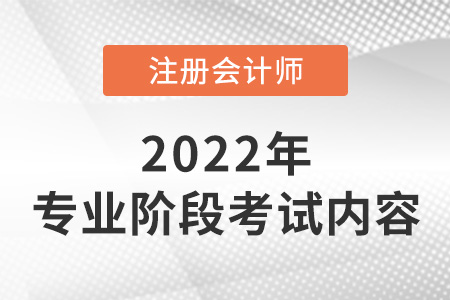 2022年注冊會計師專業(yè)階段考什么？