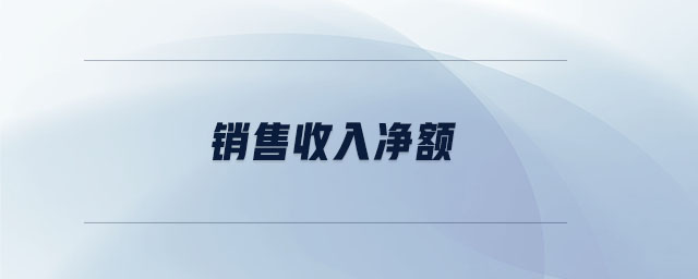 銷售收入凈額 銷售收入凈額