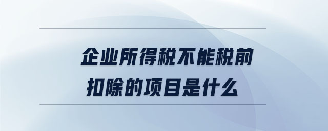 企業(yè)所得稅不能稅前扣除的項目是什么 企業(yè)所得稅不能稅前扣除的項目是什么