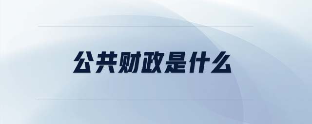 公共財政是什么
