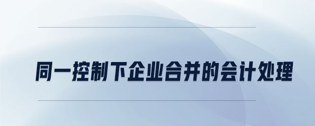 同一控制下企業(yè)合并的會(huì)計(jì)處理 同一控制下企業(yè)合并的會(huì)計(jì)處理