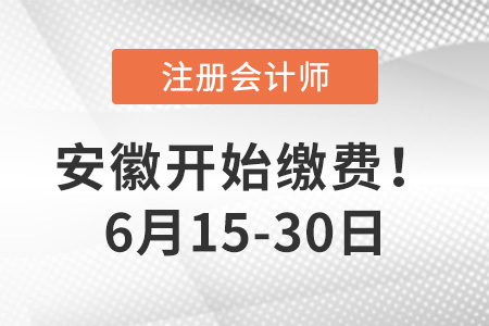 2022年安徽省合肥注冊會計師繳費時間6月15日開始！繳費從速！