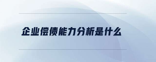 企業(yè)償債能力分析是什么 企業(yè)償債能力分析是什么
