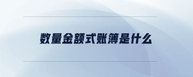 數(shù)量金額式賬簿是什么