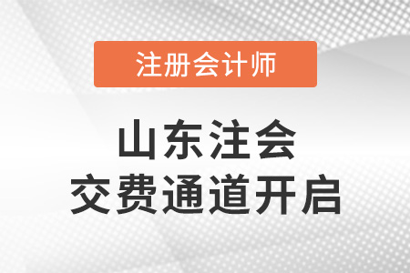 2022年山東省東營注冊會計師考試交費通道開啟！