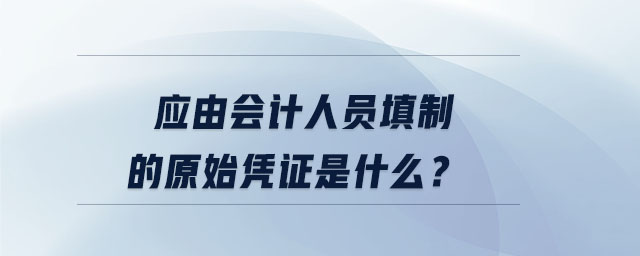 應(yīng)由會計人員填制的原始憑證是什么？